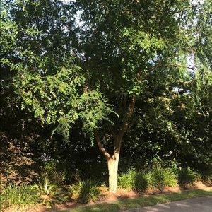 Meet your Posher, Marybeth